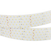 Лента RT 2-2500 24V Cool 8K 5x2 (2835, 875 LED, LUX) 