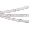 Светодиодная лента герметичная RTW-PFS-B60-13mm 24V Blue (14.4 W/m, IP68, 5060, 5m) (Arlight, 14.4 Вт/м, IP68)