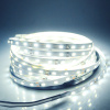 Лента светодиодная SMD3528, 120LED, 12V, 9.6 Вт/м,IP 65,White